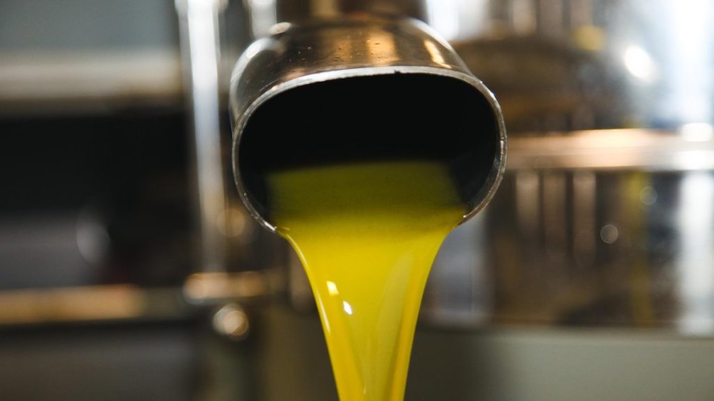 Margaret River olive oil producers trail