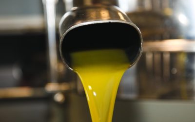 Margaret River olive oil producers trail